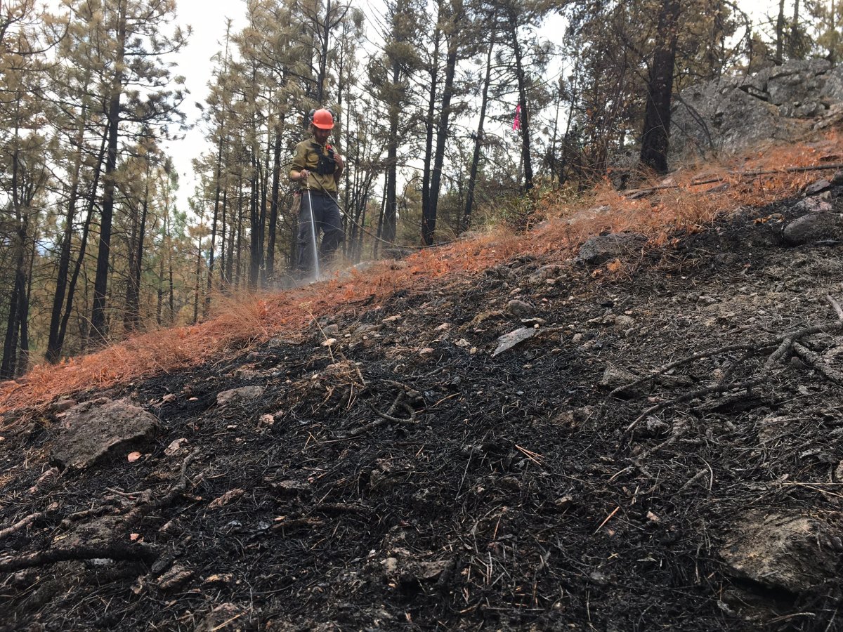 Crews gain upper hand on Finlay Creek wildfire - image