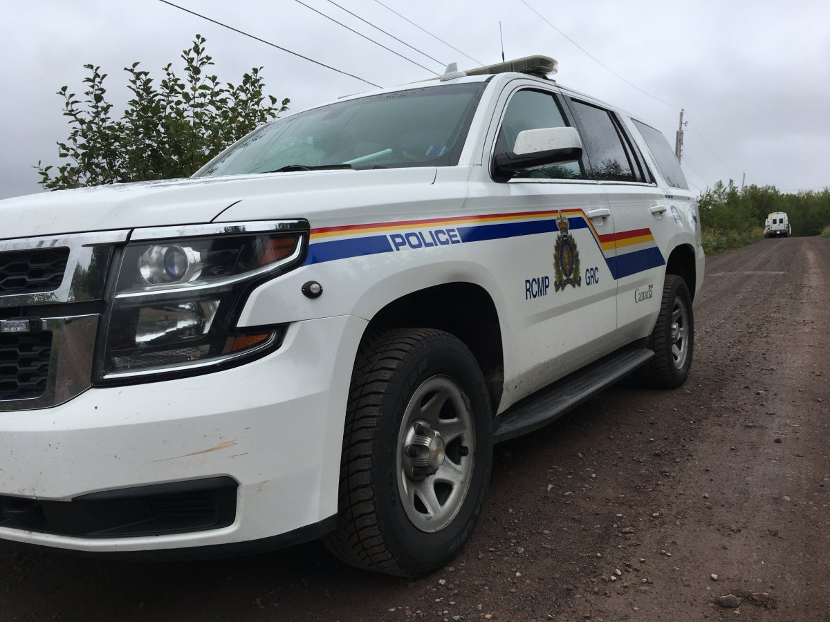 Tatamagouche councillor, former RCMP officer concerned over police response in rural N.S. - image
