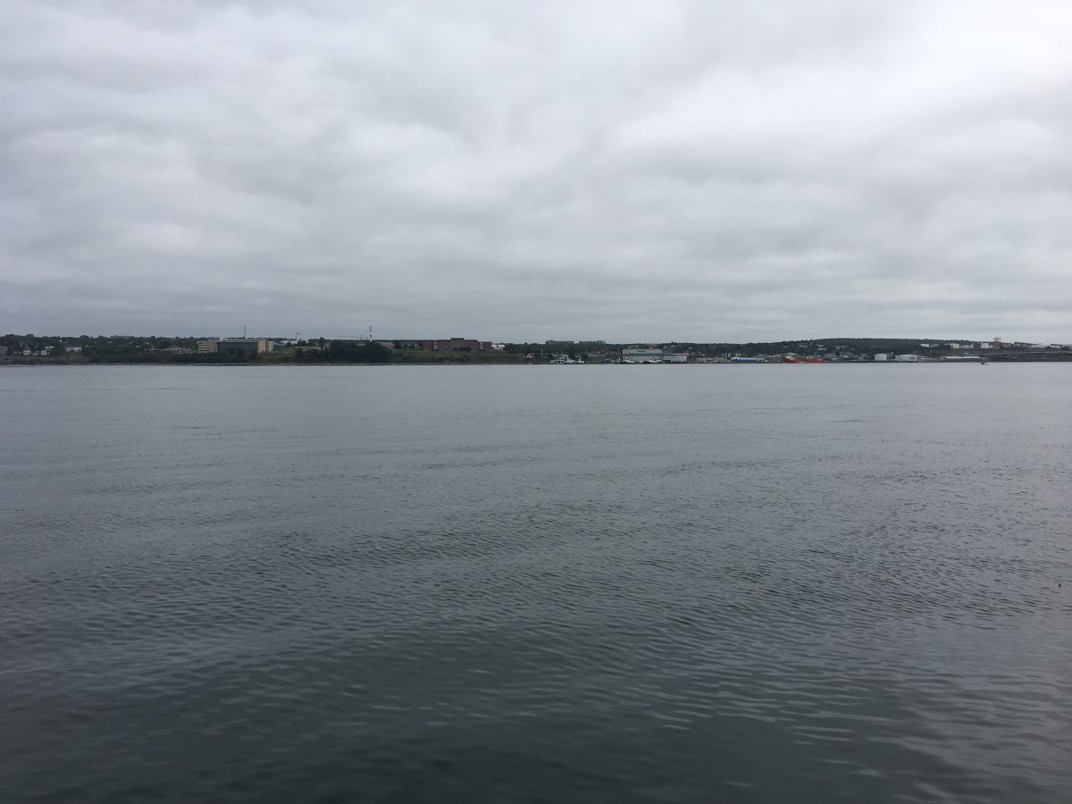 Halifax police say an officer pulled a 47-year-old man from the water on Saturday evening.