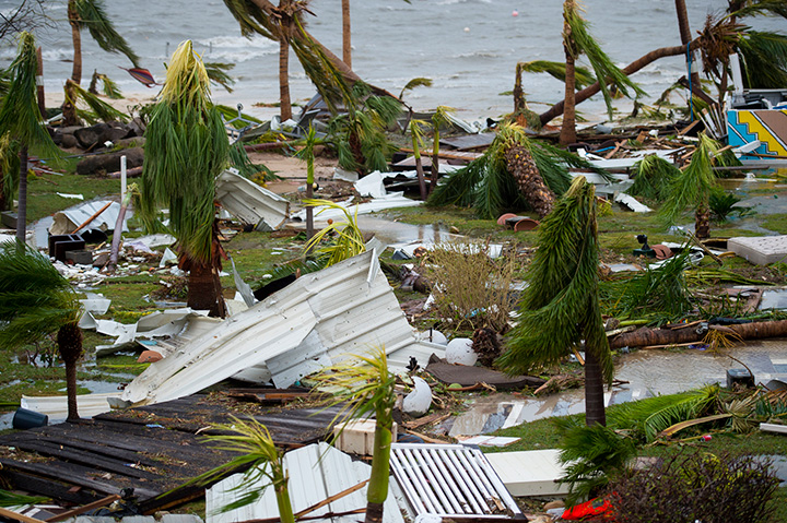 A photo taken on September 6, 2017 shows broken palm trees on the beach on the French side of Saint Martin, after the passage of Hurricane Irma.