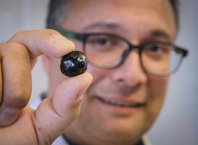 Engineering professor Ian Gates holds a "pebble" of bitumen at the University of Calgary, in Calgary, Alta., Wednesday, Sept. 6, 2017. 