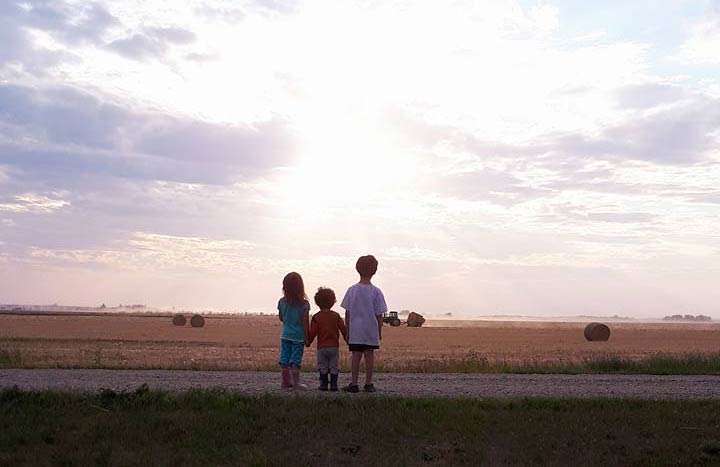 Josef Buttigieg took this Sept. 2 Your Saskatchewan photo near Regina.