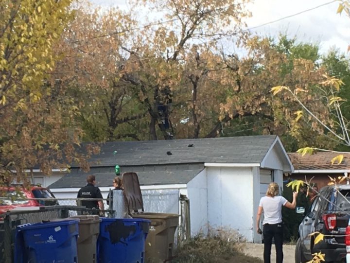 fficers followed the suspect to the 700 block of Garnet Street and when he realized police were following him he climbed a tree.
