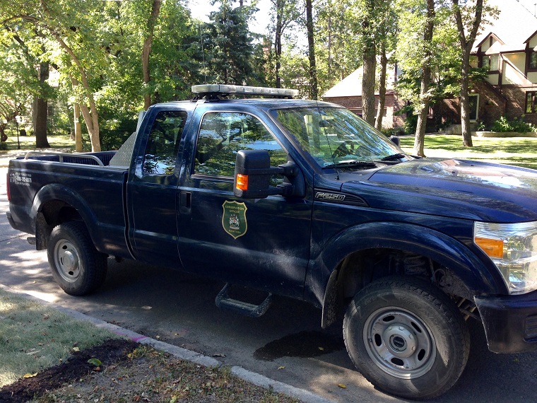 Two Manitoba Conservation Officers are searching a Winnipeg neighborhood for a moose reportedly wandering the streets.