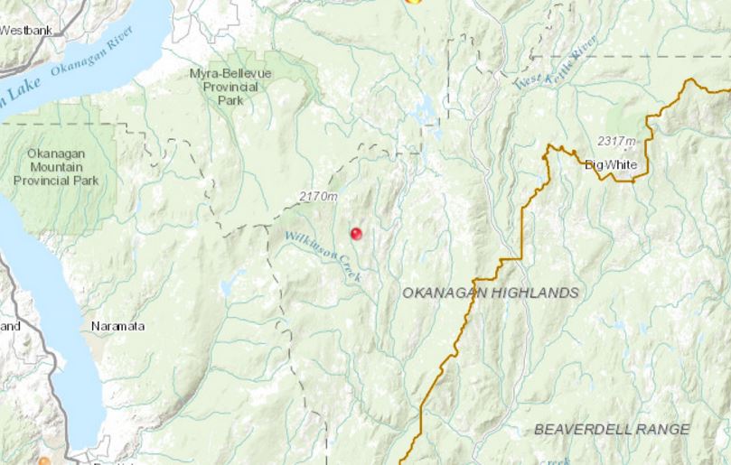 The Grayback Mountain wildfire is burning in forest east of Okanagan Lake. 