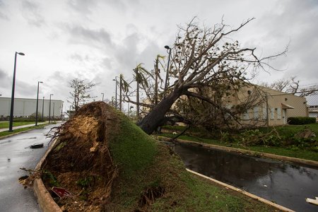 IN PHOTOS: Hurricane Maria leaves Puerto Rico in utter devastation ...