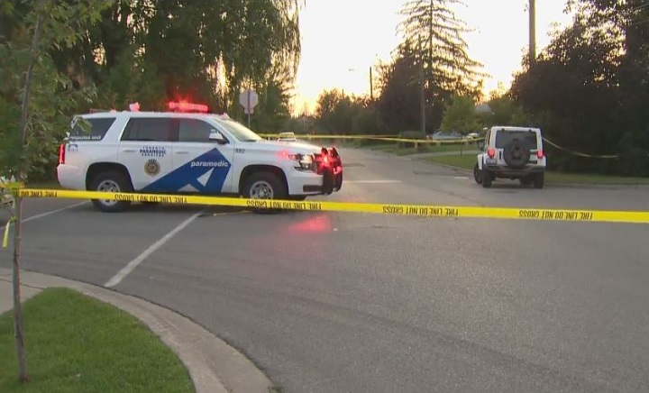 Toronto police are investigating after a woman was struck by a vehicle in North York Tuesday evening.