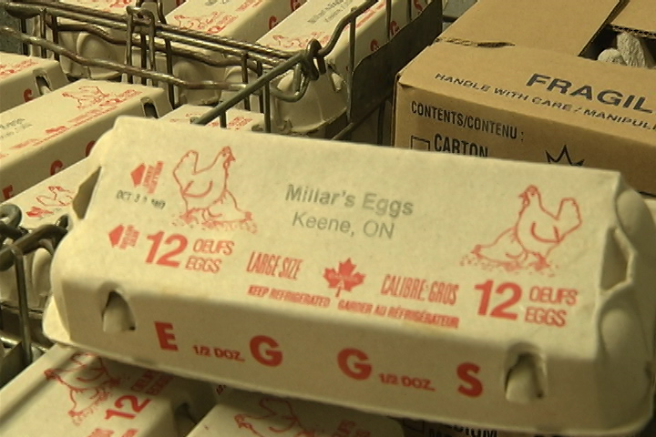 Millar's Farms in Keene is one of more than a dozen food producers getting a provincial grant to expand business. 