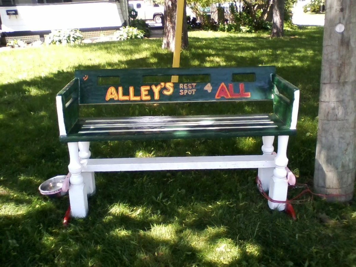 Police in Lindsay are investigating the theft of a community bench on Sunday night.