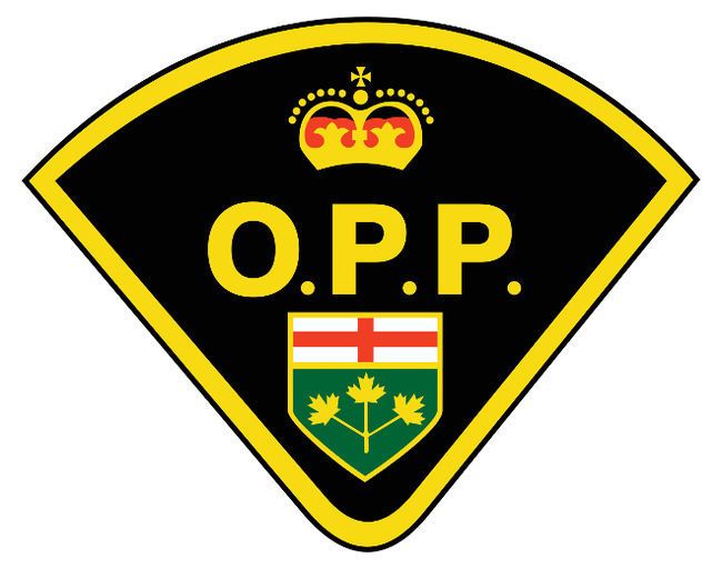 OPP are seeking the public's assistance identifying a suspect accused of exposing himself to a woman on a hiking trail in Collingwood.