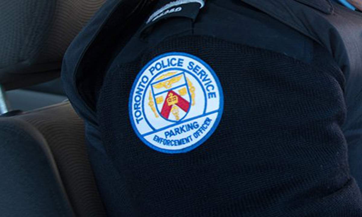 A 22 year old is scheduled to appear at Old City Hall court in October after assaulting a parking enforcement officer.