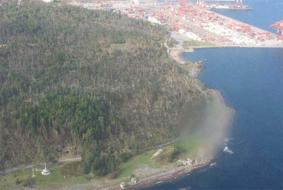 Thousands of trees in Point Pleasant Park in Halifax blown over after Hurricane Juan.