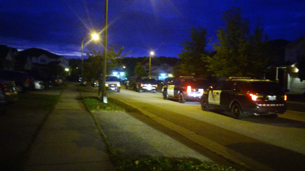 O.P.P. vehicles lining Kitchener Street in pre-dawn raid