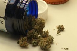 Continue reading: Guelph to get cannabis store next summer