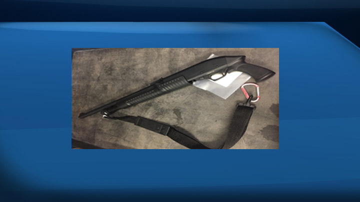A man is facing charges after Prince Albert police seize a stolen car and a shotgun.