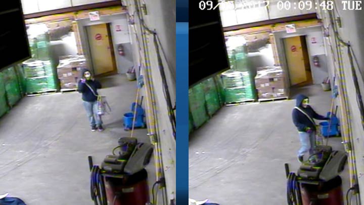 RCMP have released surveillance images of a masked suspect from a break and enter near Prince Albert, Sask.