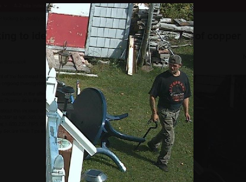 N.B. RCMP looking for person of interest in copper theft - image