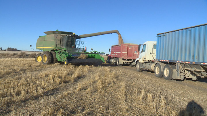 Saskatchewan farmers have nearly half the 2017 crop in the bin due to warm and dry weather.