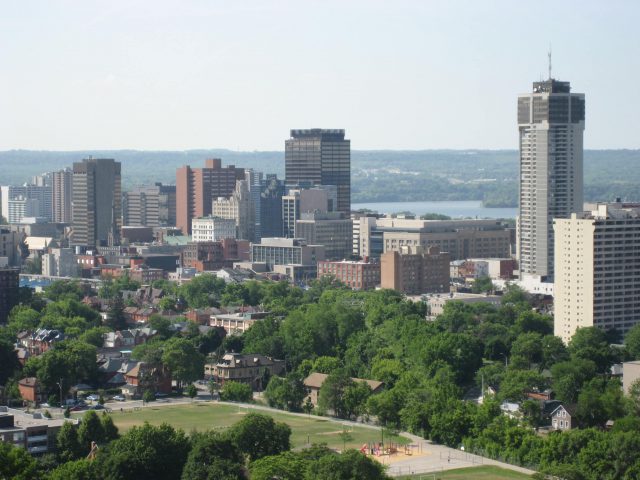 Employment in Hamilton is expected to climb at its fastest rate in 14 years in 2017, according to the Conference Board of Canada.