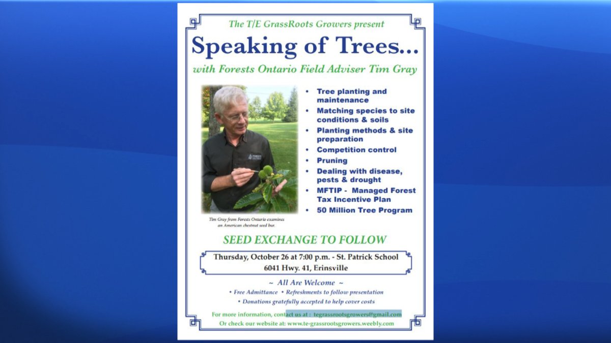 “Speaking of Trees” with Tim Gray of Forests Ontario - image