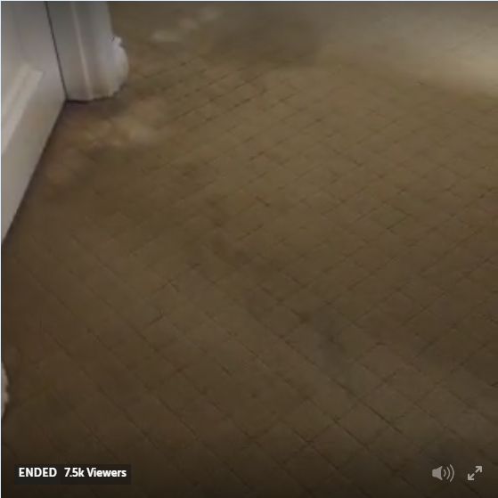 Stained carpet on the floor of comedian Kathleen Madigan's hotel suite, captured from comedienne's Periscope stream.