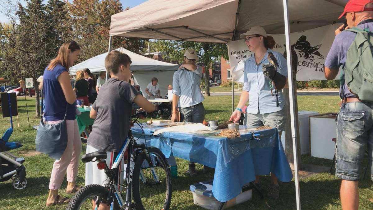 A kiosk set up in Parc des Rapides on Saturday, September 23, 2017.