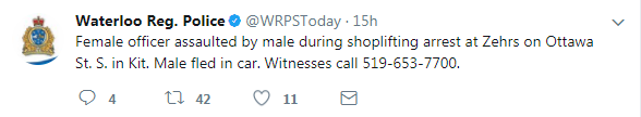 Suspects wanted for assaulting officer and shoplifting in Kitchener - image