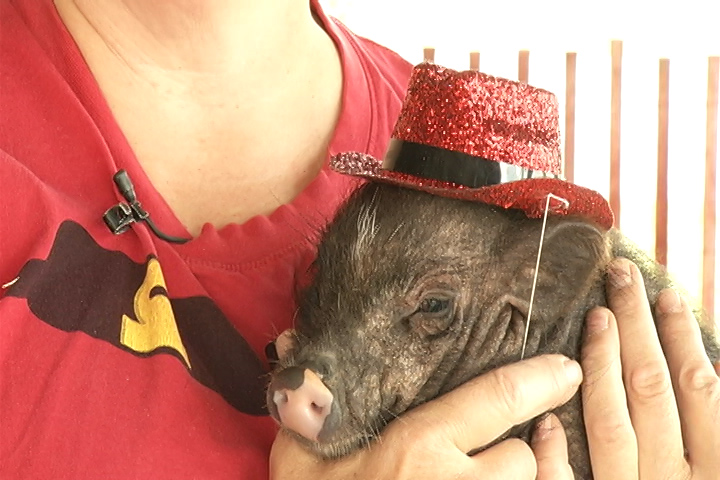 Now guests coming through the front gate will have to tour through the agricultural exhibits in order to reach the rides.