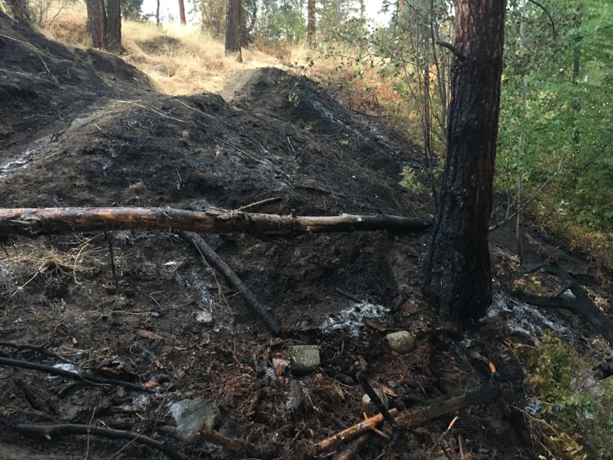 The charred forest area smolders after a fire in West Kelowna Friday afternoon. 
