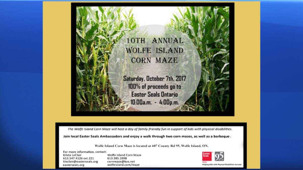 The Wolfe Island Corn Maze! - image
