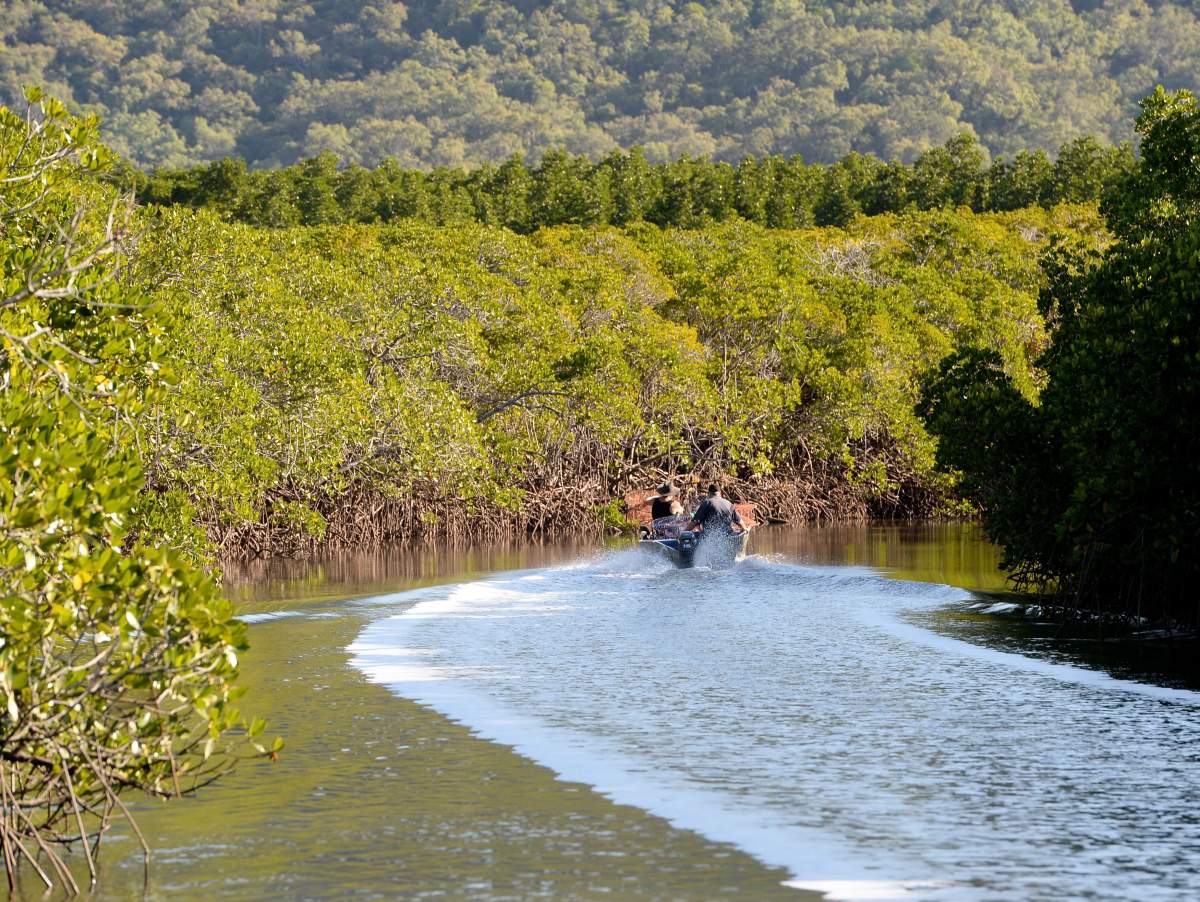 Situated north of Cairns in the north of Queensland lies the sleepy town of Port Douglas where the wealthy of Australia vacation during the cold winter months.