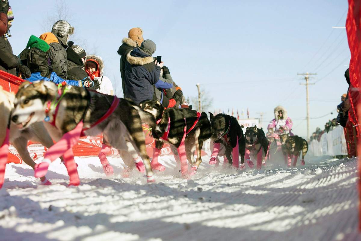 DeeDee Jonrowe leaves the chute at the start of the 45th Iditarod Trail Sled Dog Race in Fairbanks, Alaska, Monday, March 6,2017. 