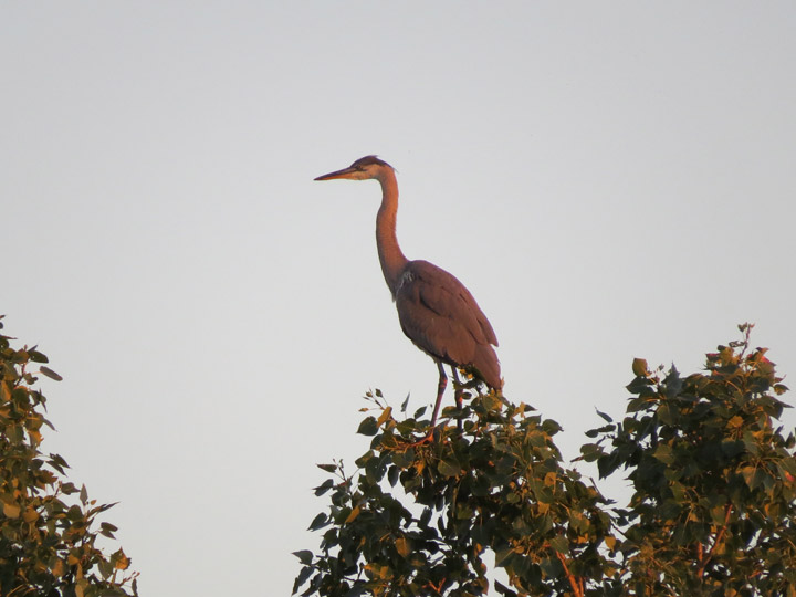 This Your Saskatchewan photo for October 4 was taken near Bradwell by Katheryn Sepke.
