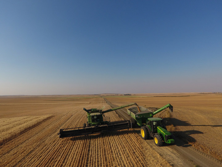 The Your Saskatchewan photo for October 11 was taken near Beechy by Natalie Braun.