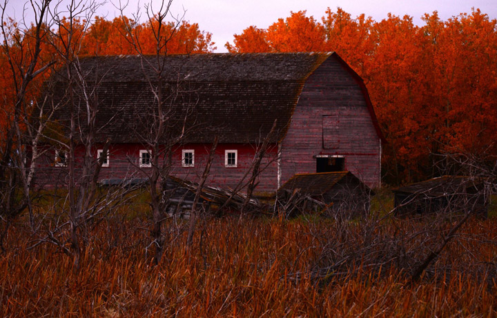 Brenda Reifferscheid took the Oct. 17 Your Saskatchewan photo near Humboldt.