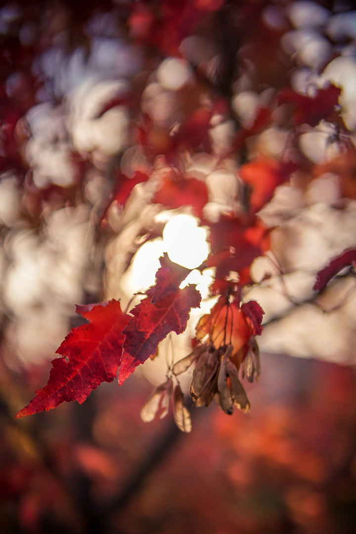 This Your Saskatchewan photo for Oct. 18 was taken by Joe Cortes in Saskatoon.