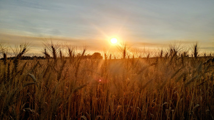 Annette Wylie took this Your Saskatchewan photo for Oct. 24 in Wakaw.