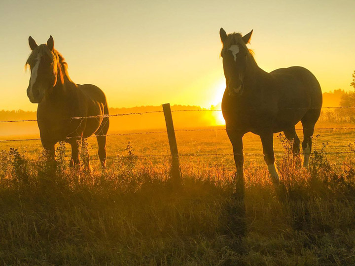 The Your Saskatchewan photo for Oct. 25 was taken at Carrot River by Fran Bryson.