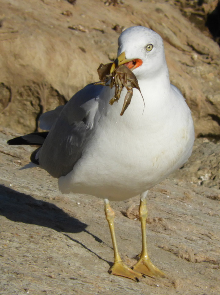 The Oct. 27 Your Saskatchewan photo was taken by Jordan Leis in Saskatoon.