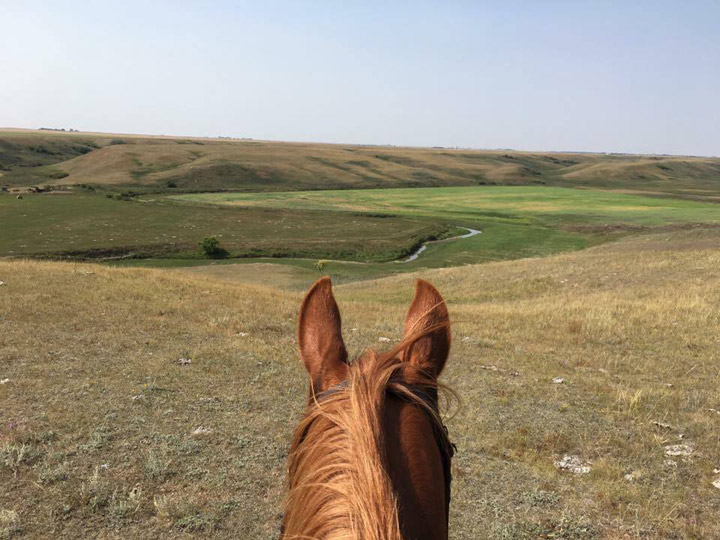 Katelyn Morgan took this Your Saskatchewan photo for Oct. 29 near Craik.