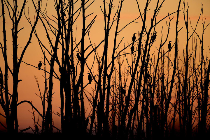 Brenda Reifferscheid took the Oct. 31 Your Saskatchewan photo near Humboldt.