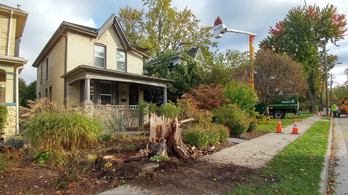 A home on Byron Avenue suffered damage when gusting winds brought down a large maple on October 15, 2017.
