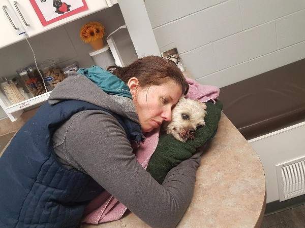 Kelowna attack dogs running out of time - image