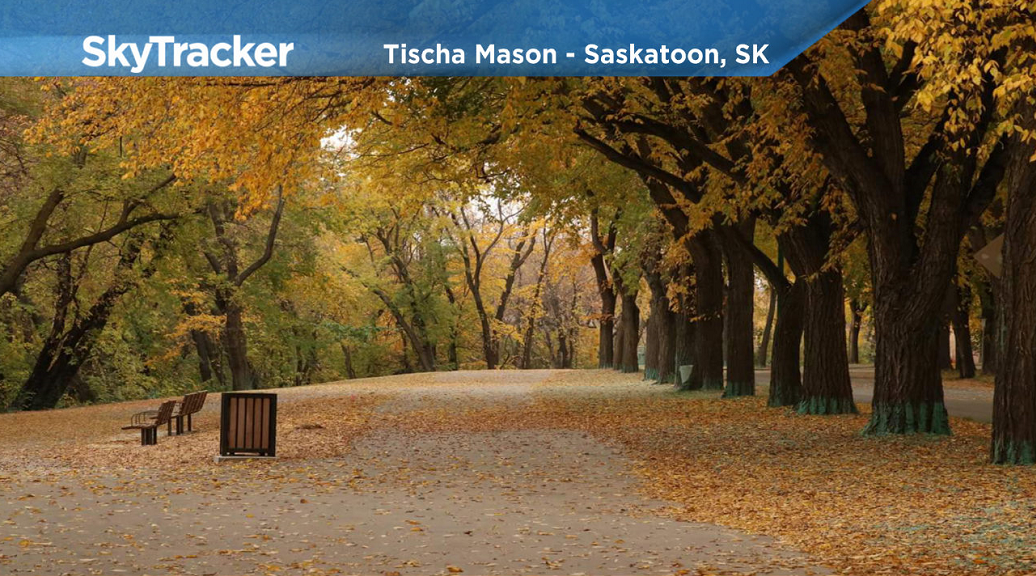 Stunning fall colours continue to flourish in Saskatoon.