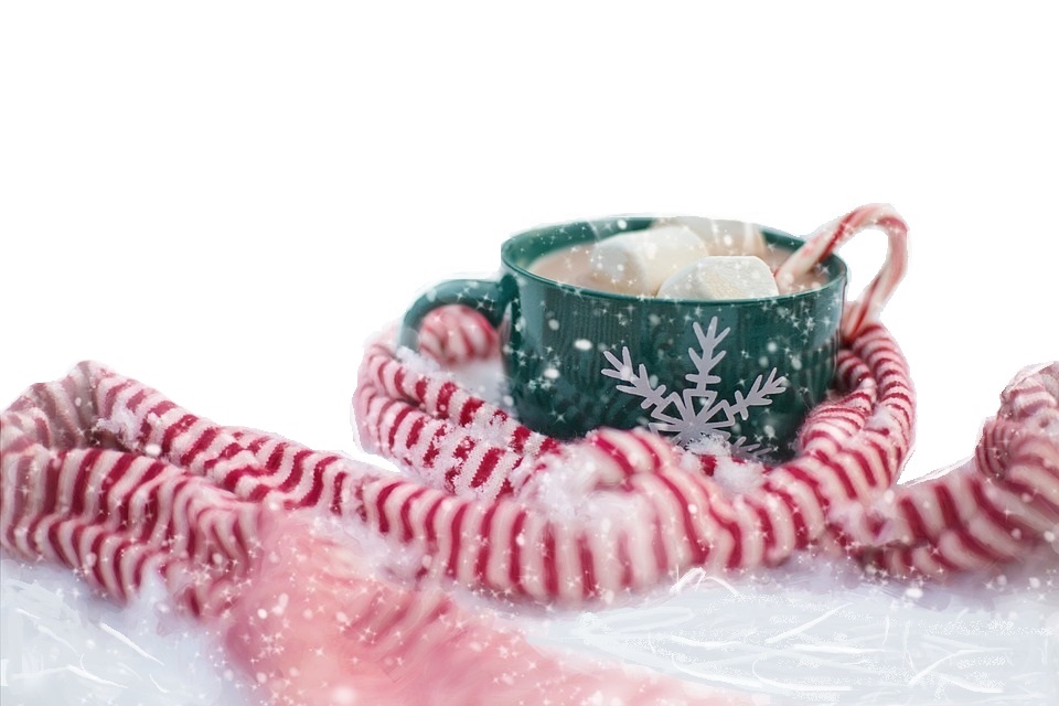 Seniors Candy Cane Tea - image