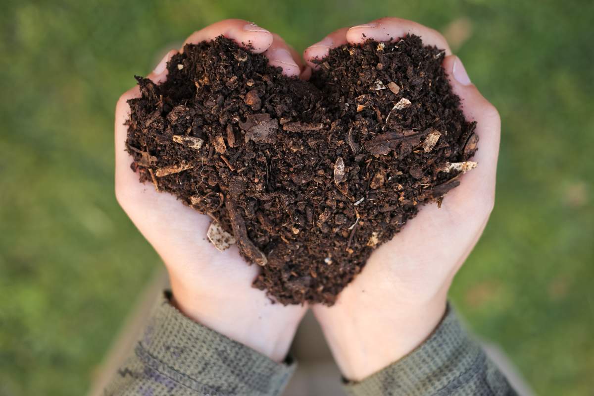 Backyard Composting 101 - image