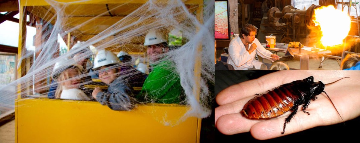 Spoo-ook-tacular Britannia Mine Museum - image
