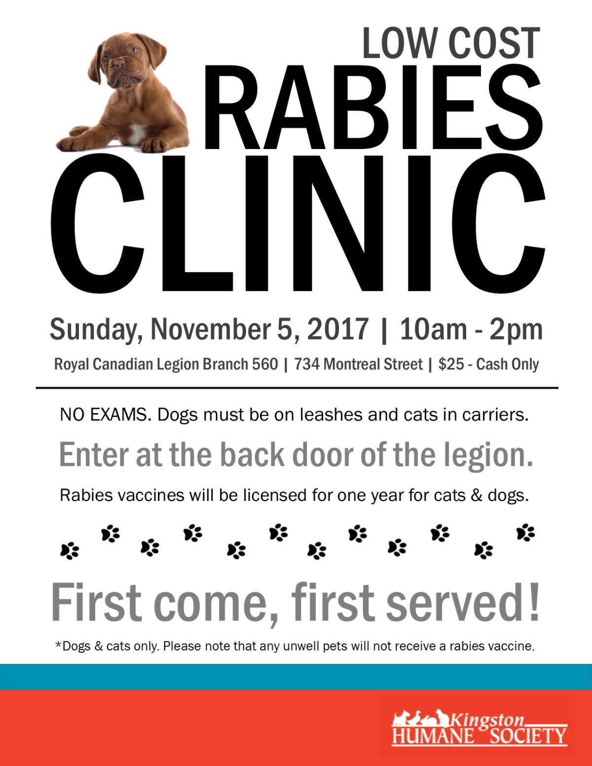 Low Cost Rabies Clinic - image