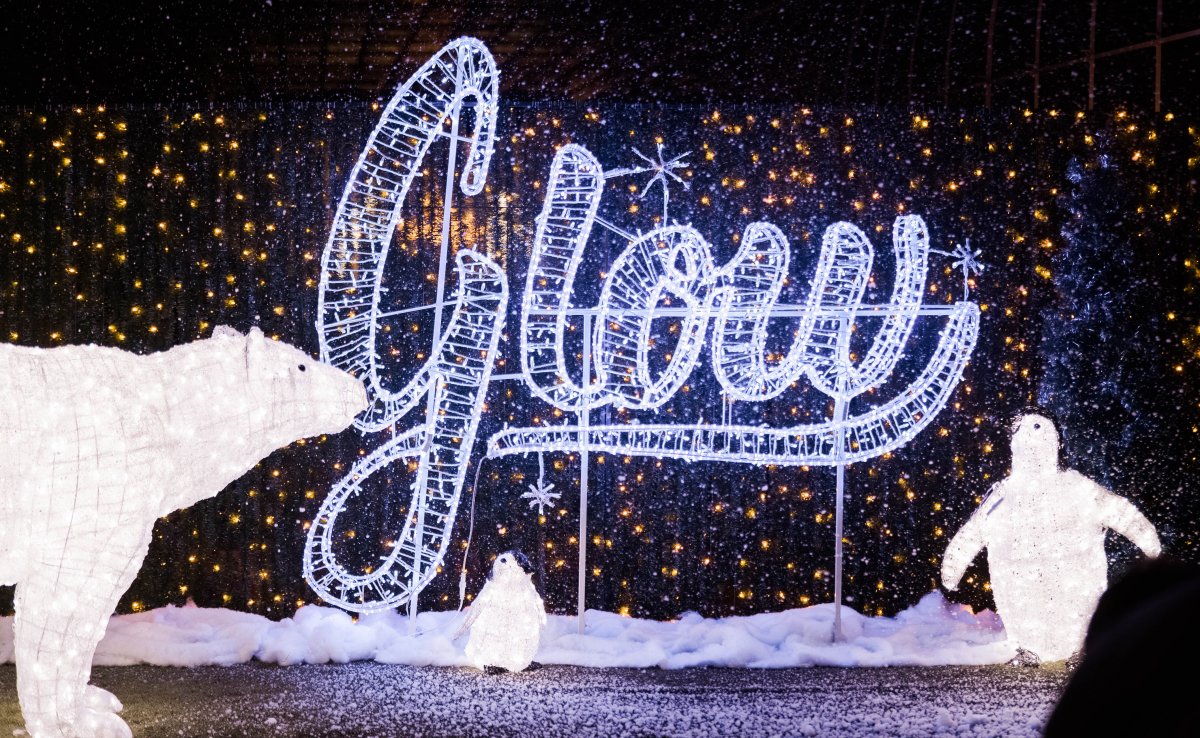 Glow Christmas Light Garden & Market - image