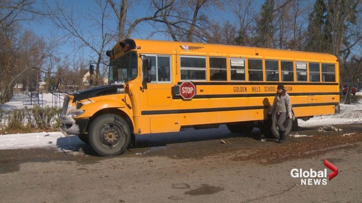 FILE: School bus.